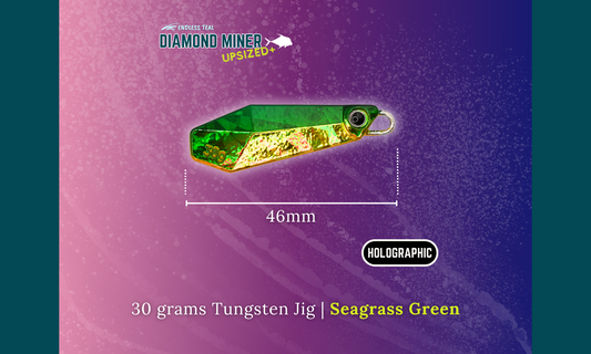 "DIAMOND MINER" 30G Tungsten Jig