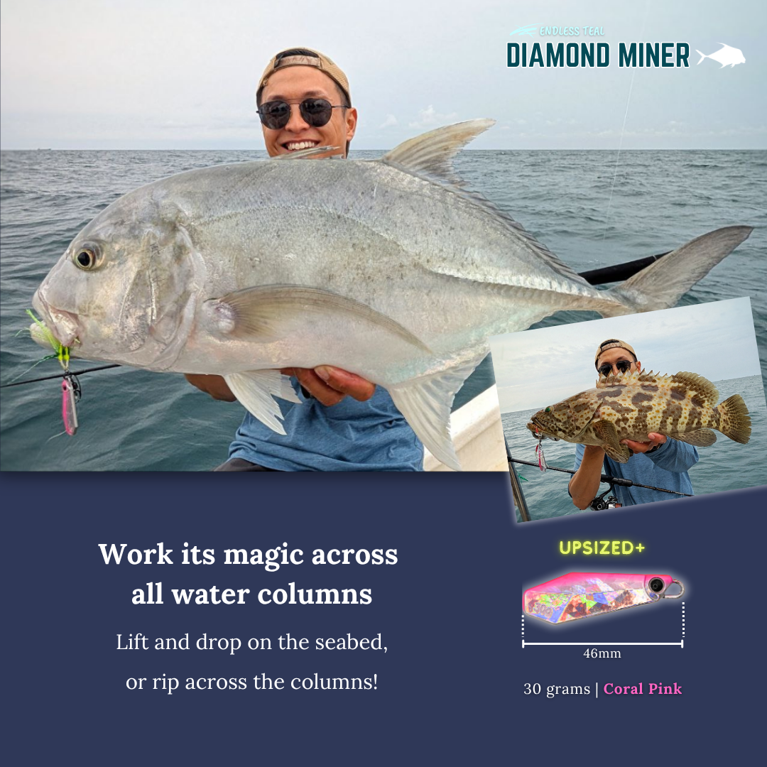 "DIAMOND MINER" 30G Tungsten Jig