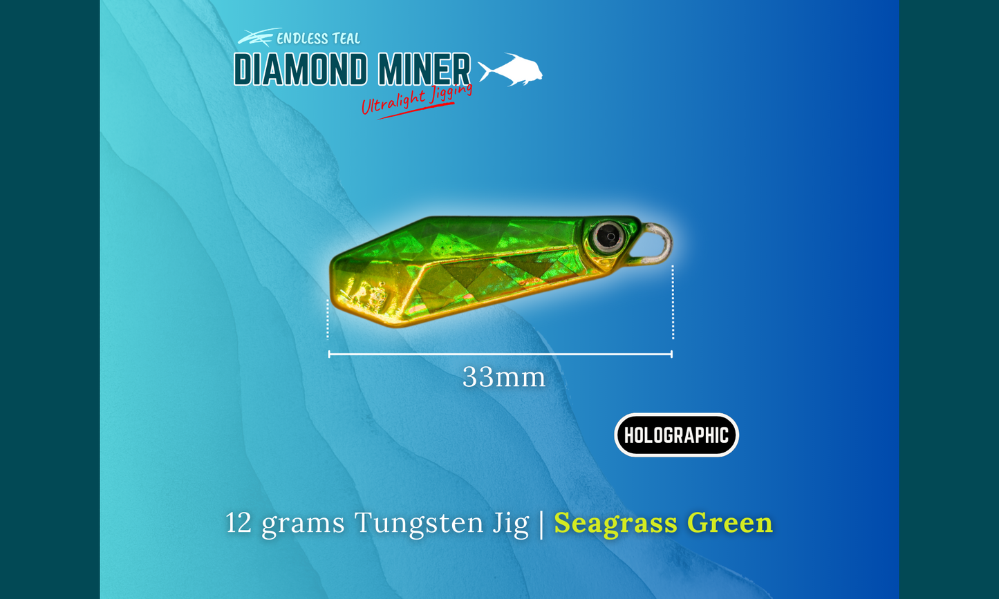 "DIAMOND MINER" 12G Tungsten Jig