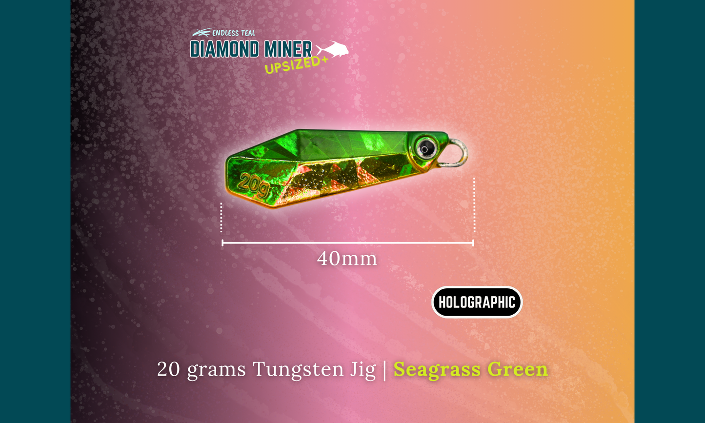"DIAMOND MINER" 20G Tungsten Jig