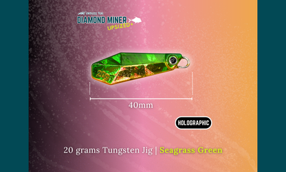 "DIAMOND MINER" 20G Tungsten Jig