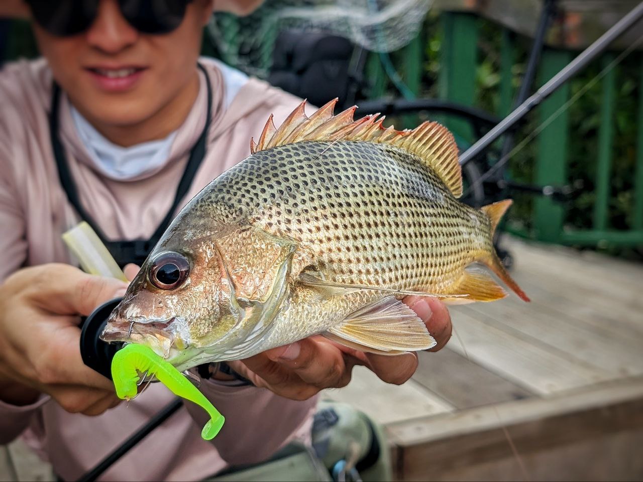 "FREESTYLE" 2.5 inch soft plastic lure