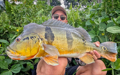 "FREESTYLE" 2.5 inch soft plastic lure