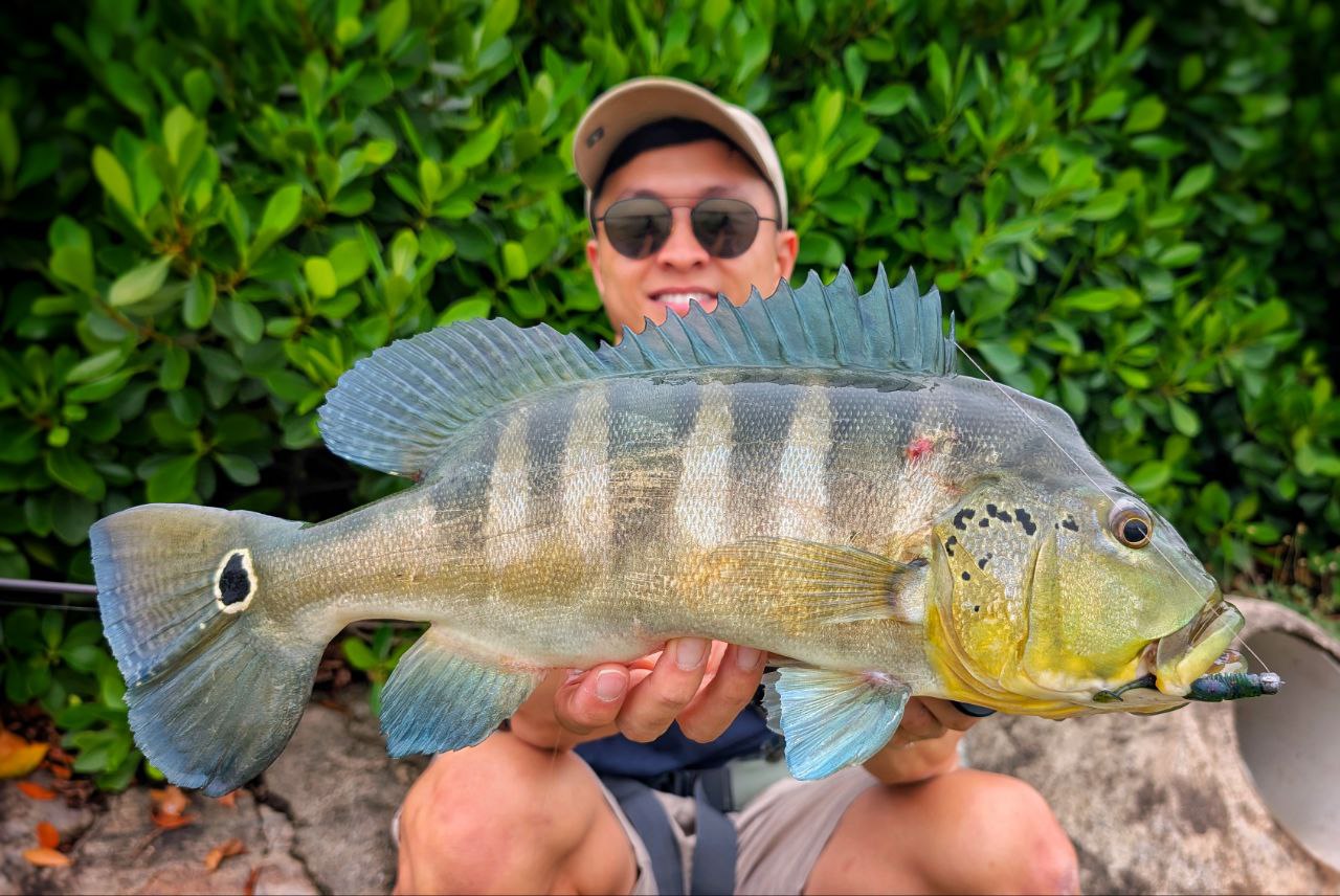 "FREESTYLE" 2.5 inch soft plastic lure