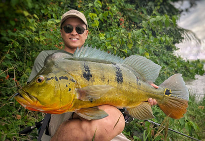 "FREESTYLE" 2.5 inch soft plastic lure