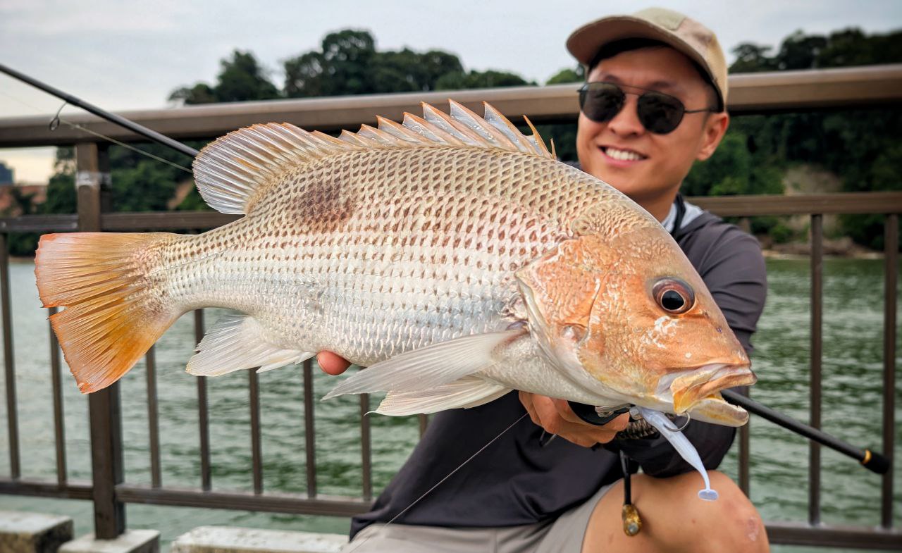 "FREESTYLE" 2.5 inch soft plastic lure