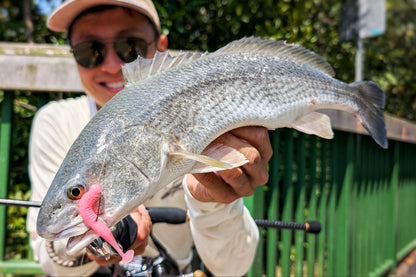 "FREESTYLE" 2.5 inch soft plastic lure