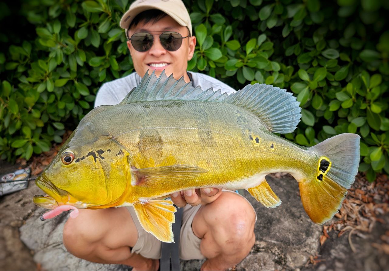 "FREESTYLE" 2.5 inch soft plastic lure