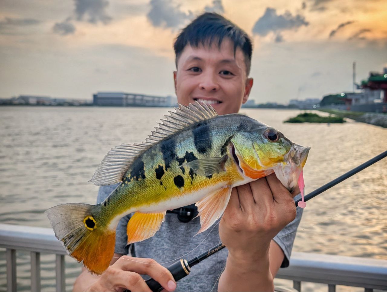 "FREESTYLE" 2.5 inch soft plastic lure