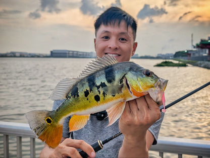 "FREESTYLE" 2.5 inch soft plastic lure