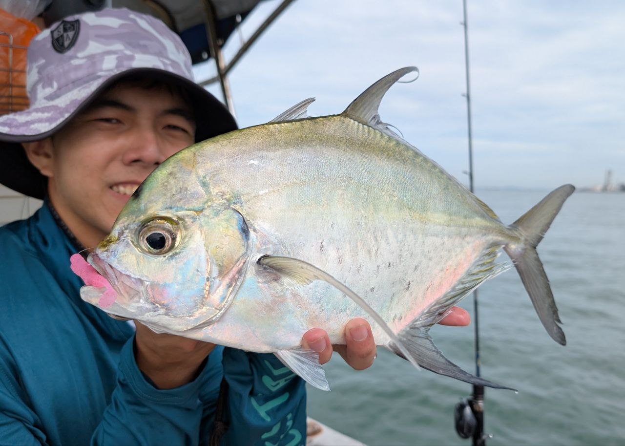 "FREESTYLE" 2.5 inch soft plastic lure