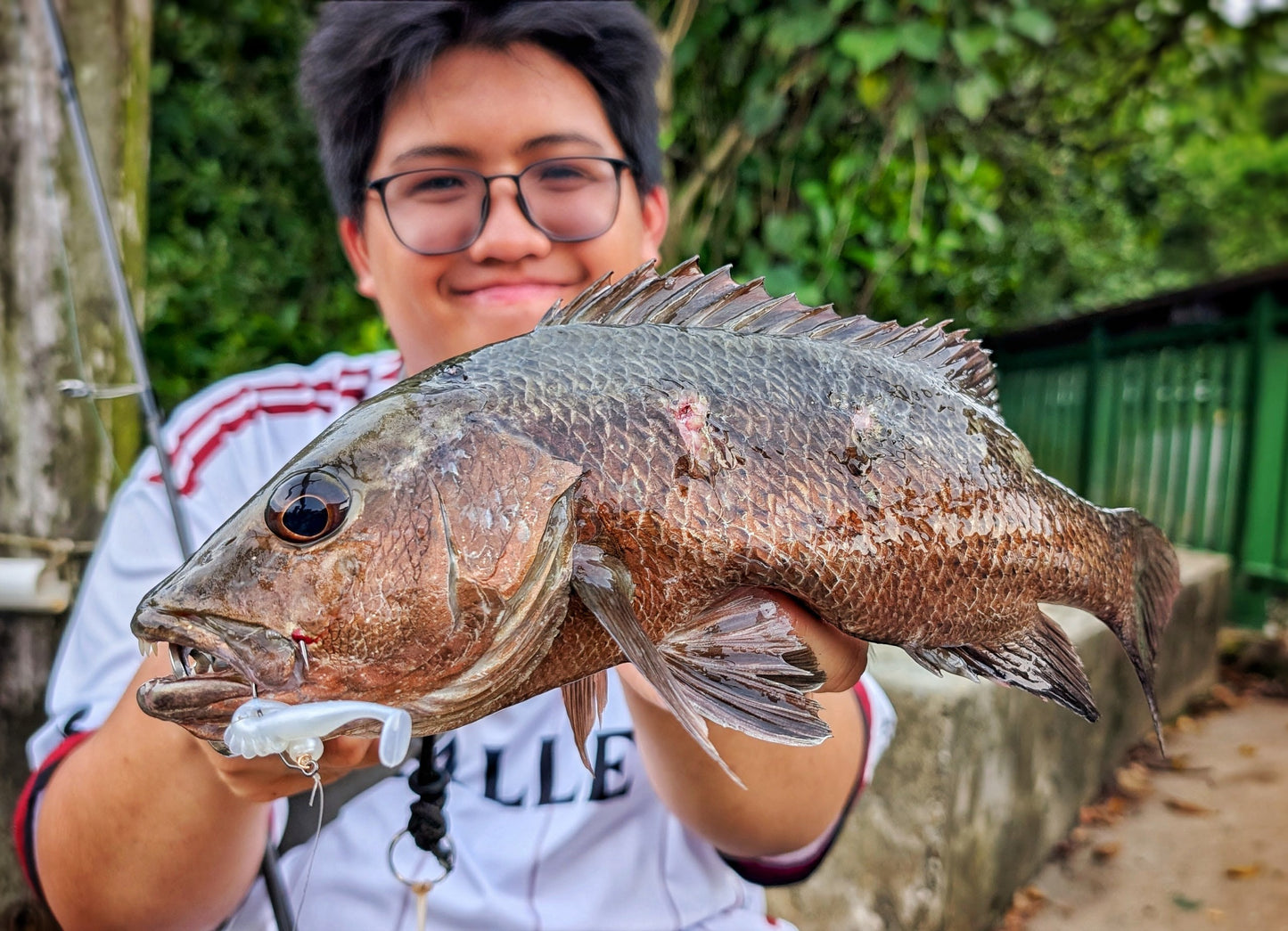 "FREESTYLE" 2.5 inch soft plastic lure