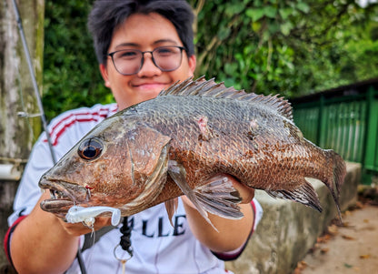 "FREESTYLE" 2.5 inch soft plastic lure