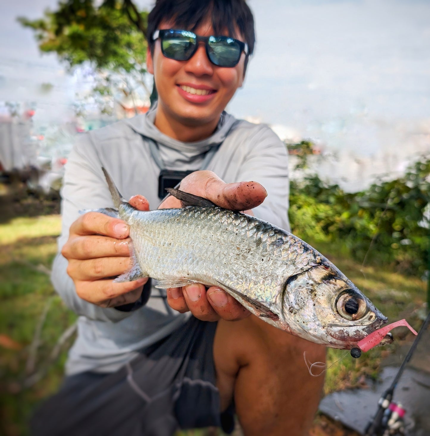 "FREESTYLE" 2.5 inch soft plastic lure