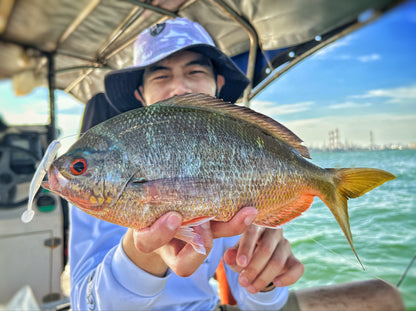 "FREESTYLE" 2.5 inch soft plastic lure